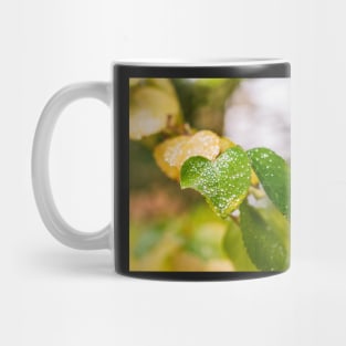 Early Autumn leaves Mug